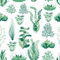 pattern with various algae