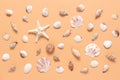 Pattern from various seashells on a pastel peach background. Beautiful summer abstract sea background. Top view, flat lay