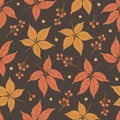 Pattern with virginia creeper leaves and berries