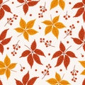 Pattern with virginia creeper leaves and berries