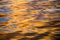 Pattern of water surface ripples merged with blue and golden color from morning sun Royalty Free Stock Photo