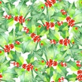 Pattern with watercolor branches with the red berries and green leaves (holly tree) Royalty Free Stock Photo