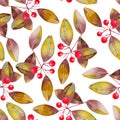 Pattern with watercolor branches with the red berries and leaves, bird-cherry tree Royalty Free Stock Photo