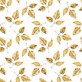 Pattern of watercolor fall yellow leaves on the white background. Botanical seamless texture. Autumn illustration.