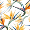 Pattern, watercolor, flower