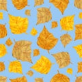 Pattern of watercolor leaves on a blue background