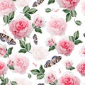Pattern with watercolor realistic roses, butterflies and plants. Royalty Free Stock Photo