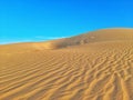 Pattern waves in sand dunes on desert of Algeria Royalty Free Stock Photo