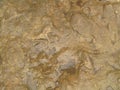 Pattern with wet raw beige stone texture. Background. Details Royalty Free Stock Photo