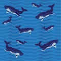 Pattern Whale blue Royalty Free Stock Photo