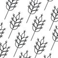 Pattern wheat leaves isolated icon