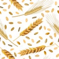 Pattern wheat and rye ears and grains