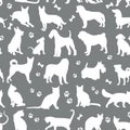 Pattern of white colors cats and dogs background illustration on grey. Animal collection. seamless surface pattern.