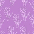 pattern white contour flowers crocuses on a lilac Royalty Free Stock Photo