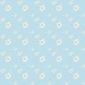 Pattern of white daisies on a blue background Royalty Free Stock Photo