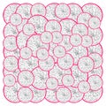 Pattern of white dragon fruit slices on white background Royalty Free Stock Photo