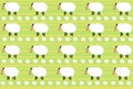 Pattern of the white sheep on green stried background Royalty Free Stock Photo