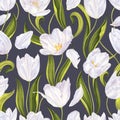 Seamless pattern with white tulips, leaves and petals on dark background. Royalty Free Stock Photo