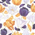 Seamless pattern with yellow, white, dark purple vector tulips.