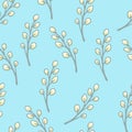 Pattern of willow twigs on a turquoise background. Willow flower.