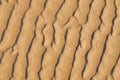 Pattern of wrinkles in sand Royalty Free Stock Photo