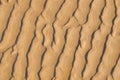 Pattern of wrinkles in sand