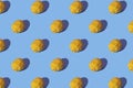 Pattern with yellow Citron Citrus medica on blue Royalty Free Stock Photo