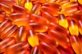 pattern of yellow gelatin capsules on a red background. omega viramins close-up macro