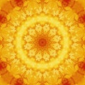 Pattern yellow geometric kaleidoscope symmetry. flower illustration