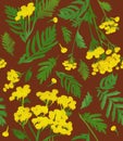 Pattern with yellow watercolor tansy