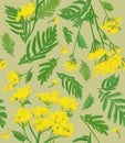 Pattern with yellow watercolor tansy