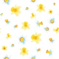 Pattern of yellow and white daffodils different sizes, flowers on white background. White and yellow narcissus flowers. Vector ill