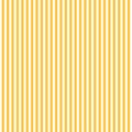 Pattern with yellow  and white stripes. Royalty Free Stock Photo