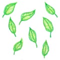 A pattern of young bright green tropical leaves on a white background.