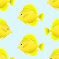 Pattern of zebrasoma, yellow sailing fish vector illustration Royalty Free Stock Photo