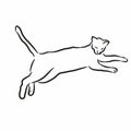 Line drawing of a stray cat