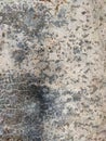 Patterned cement flooring with long-term use Royalty Free Stock Photo