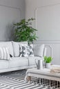 Patterned cushion on grey settee in living room interior with plant on table on striped carpet. Real photo