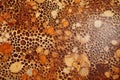 patterned formica in close detail