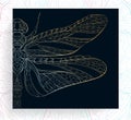 Patterned golden dragonfly. Royalty Free Stock Photo