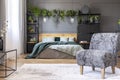 Patterned grey armchair in bedroom interior with plants and lamp Royalty Free Stock Photo