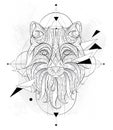 Patterned head of the fox with geometry