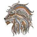 Patterned head of lion head on the white background. African,boho,indian,totem,tattoo design. Can be used for design of a t-shirt,