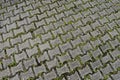 Patterned paving blocks, cement brick floor, Rio de Janeiro Royalty Free Stock Photo