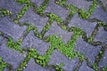 Patterned paving blocks, cement brick floor, Rio de Janeiro Royalty Free Stock Photo