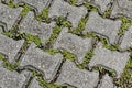 Patterned paving blocks, cement brick floor, Rio de Janeiro Royalty Free Stock Photo