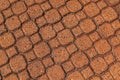 Patterned paving with red bricks in Ribeirao Preto Royalty Free Stock Photo