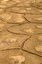 Patterned paving tiles, cement brick floor Royalty Free Stock Photo