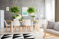 Ferns above dining table