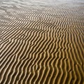 Sand with ripples formed by tidal currents creating parallel wavy Royalty Free Stock Photo